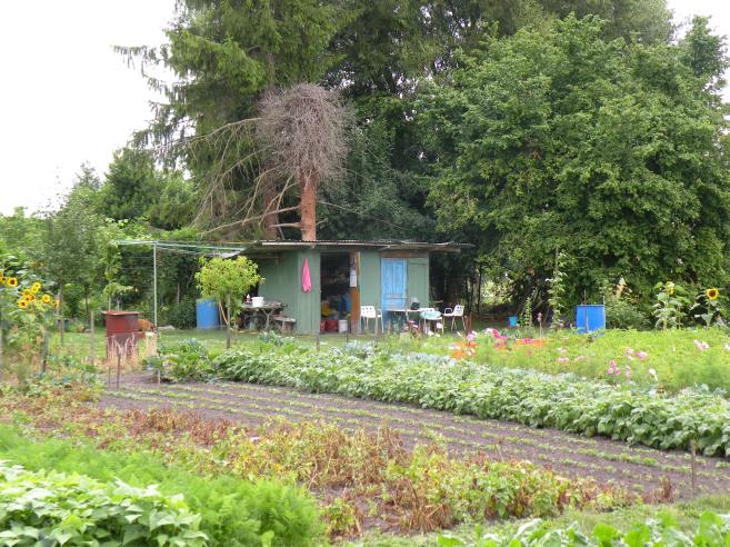  cabane de jardin